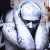 G.g. Allin - List pictures