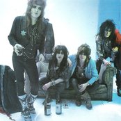 Dogs Damour - List pictures