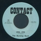 The Burning Bush - List pictures