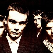 The Wolfhounds - List pictures