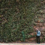 Brian Owens - List pictures