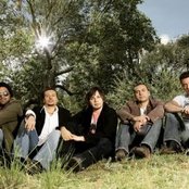 Elefante - List pictures