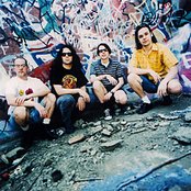 Posies - List pictures