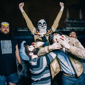 Foxing - List pictures