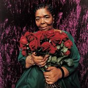 Cesaria Evora - List pictures