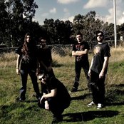 Black Path - List pictures