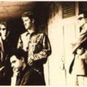 Lobo - List pictures