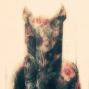 Slow Magic - List pictures