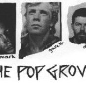 The Pop Group - List pictures
