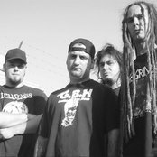 Phobia - List pictures