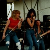 Cheetah - List pictures