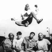 Shelter - List pictures