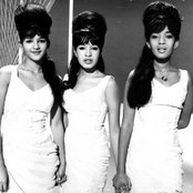 The Ronettes - List pictures