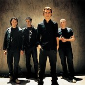 Bush - List pictures