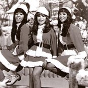 The Ronettes - List pictures