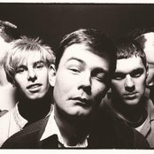 The Wolfhounds - List pictures