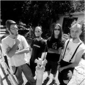 Bad Acid Trip - List pictures