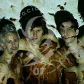 Los Piojos - List pictures