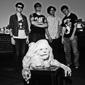 Night Birds - List pictures