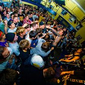 50 Lions - List pictures