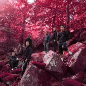 Blue Foundation - List pictures