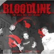 Bloodline - List pictures