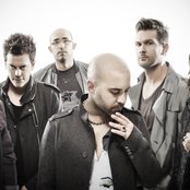 Negramaro - List pictures