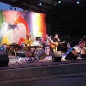 Annuals - List pictures