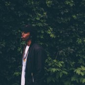 K. Forest - List pictures