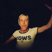 The Cows - List pictures