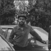 Mighty Diamonds - List pictures