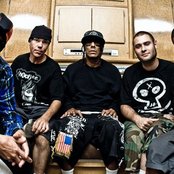 Hed Pe - List pictures