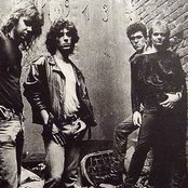 Bezobrazno Zeleno - List pictures