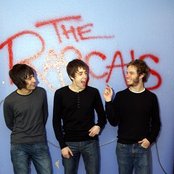 Rascals - List pictures