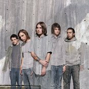 Finch - List pictures