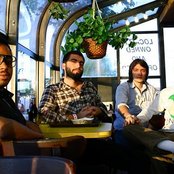 Miniature Tigers - List pictures