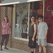 The Cranes - List pictures