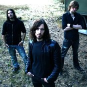 Cervello - List pictures