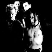 Razed In Black - List pictures