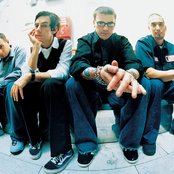 Taproot - List pictures