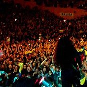 Kraken - List pictures