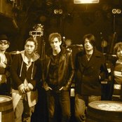 Fade - List pictures