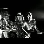 Quicksand - List pictures