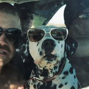 Sublime - List pictures