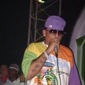 Nengo Flow - List pictures