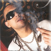 Sean Paul - List pictures
