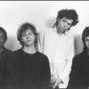 Dancing Hoods - List pictures