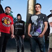 Stray From The Path - List pictures