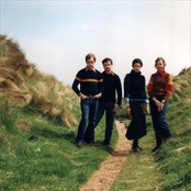 Stereolab - List pictures