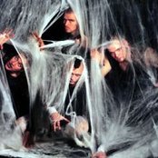 Terminal Choice - List pictures